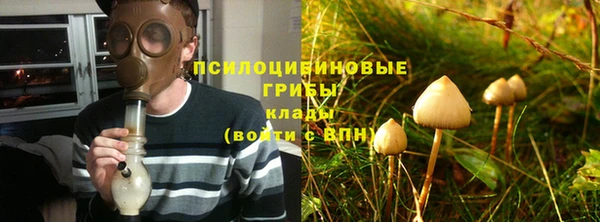 крисы Алзамай